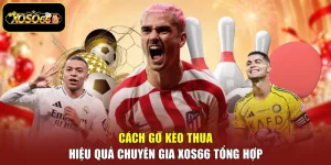 Cách Gỡ Kèo Thua Hiệu Quả Chuyên Gia Xoso66 Tổng Hợp