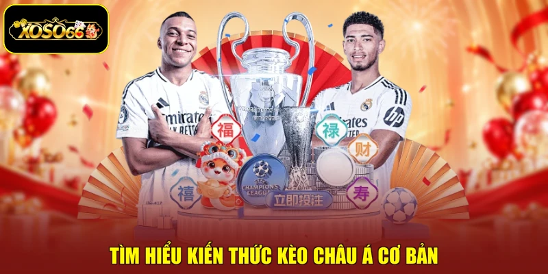 Tìm hiểu kiến thức kèo châu Á cơ bản