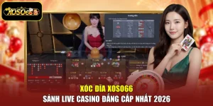 Xóc Đĩa Xoso66 – Sảnh Live Casino Đẳng Cấp Nhất 2026